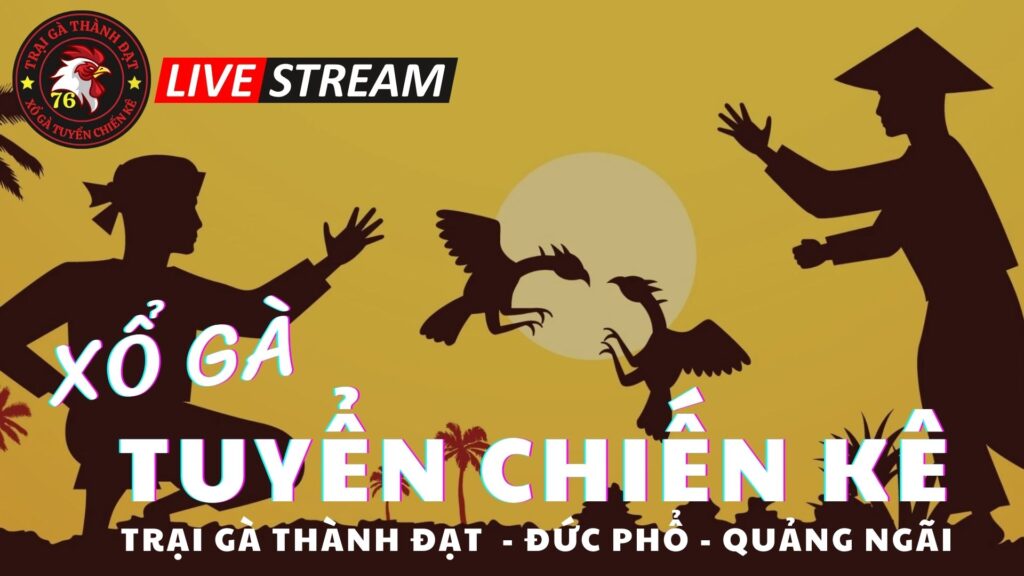 Video 18h51 ngày 15/10 – Trại Gà Thành Đạt